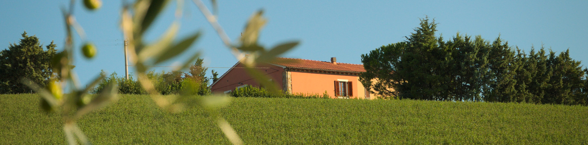 Agriturismo campagna toscana