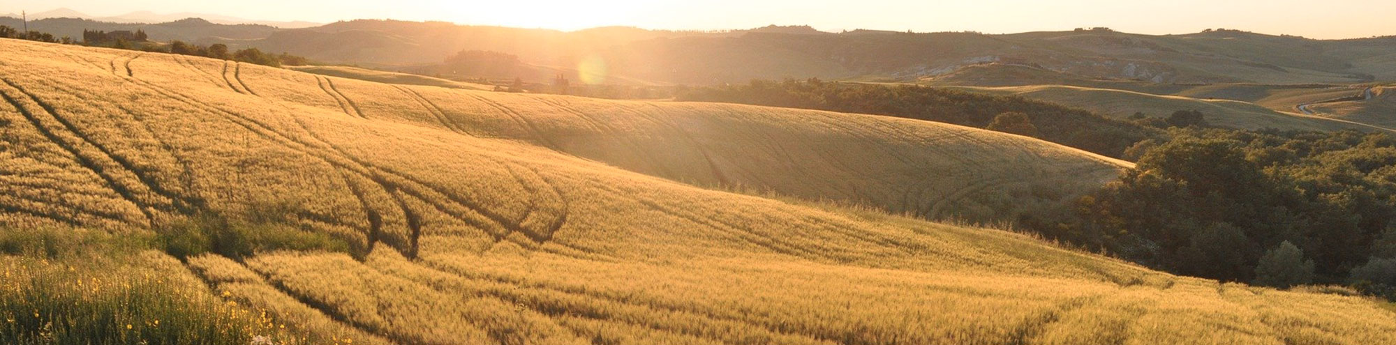 Agriturismo campagna toscana